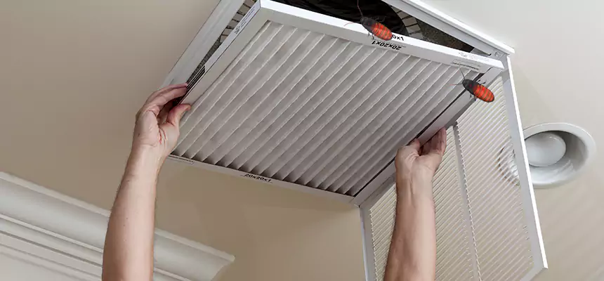 Preventive Cockroach-Proofing for Ducts in Lowell