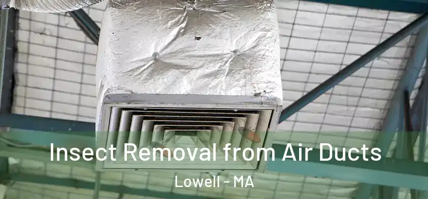  Insect Removal from Air Ducts Lowell - MA
