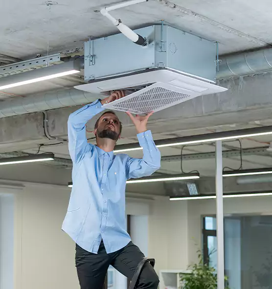 Advanced Rodent Droppings In Vents in Lowell, MA