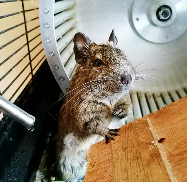 Why Homeowners & Businesses Trust Us Lowell, MA