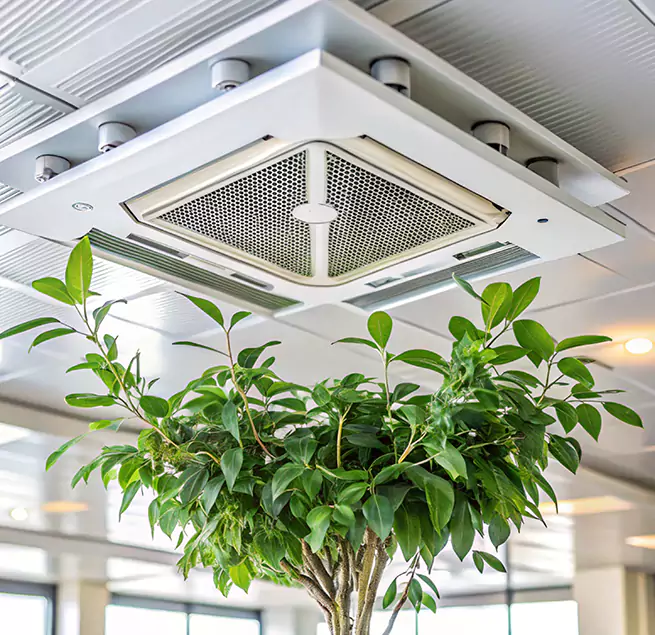 Why Homeowners & Businesses Trust Us in Lowell, MA?