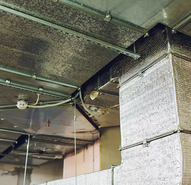 Why Homeowners & Businesses Trust Us in Lowell, MA?